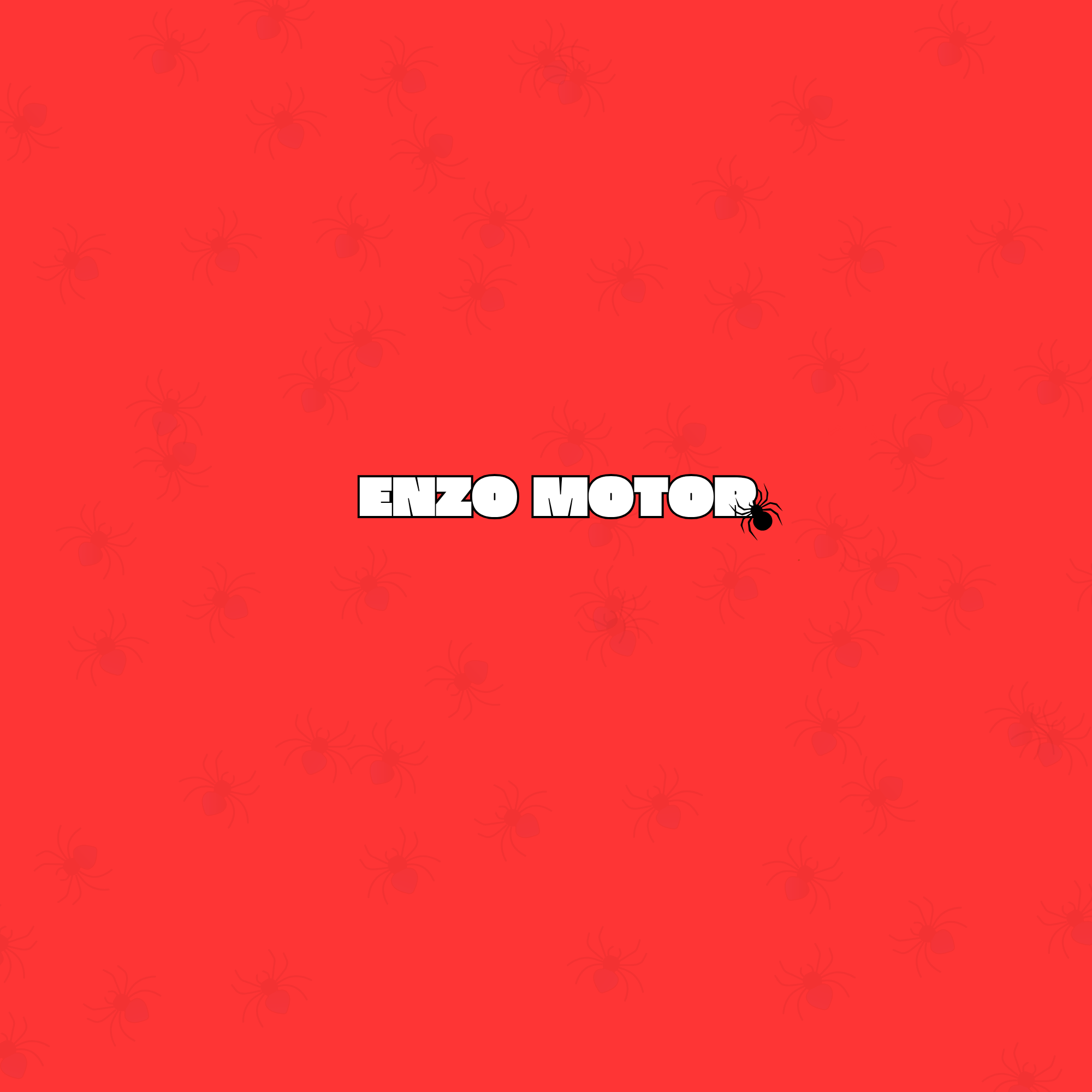 Enzo Motor Website — Buggsol Project